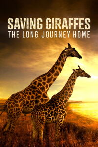Saving Giraffes: The Long Journey Home (2022)
