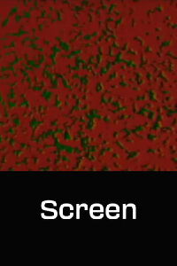 Screen (1969)