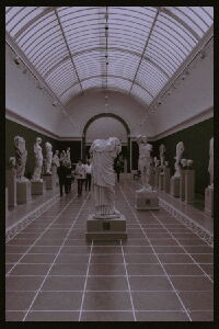 Sculptures of Anything Goes (2024)