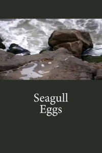 Seagull's eggs (2008)