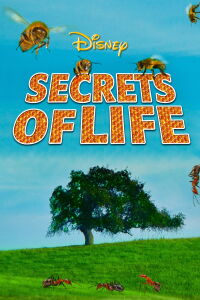 Secrets of Life (1956)