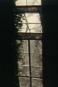 See Through The Shadow Of Darkness (1996)
