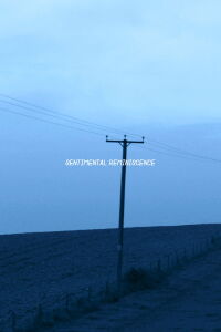 Sentimental Reminiscence (2017)