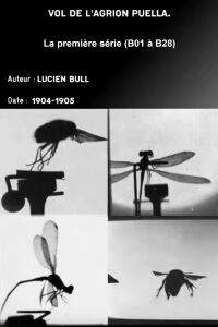 Series 1 (insect flights) (1905)