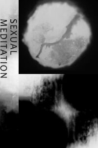 Sexual Meditation (2013)