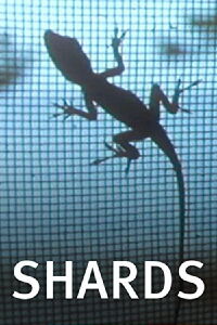 Shards (1988)