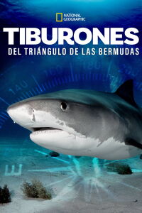 Sharks of the Bermuda Triangle (2020)