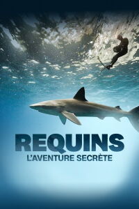 Sharks: The Secret Adventure (2022)