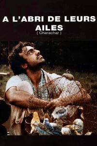 Shelter of the Wings (1994)