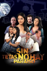 Sin Tetas no hay Paraíso (2010)