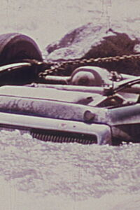 Sincerity V (1980)