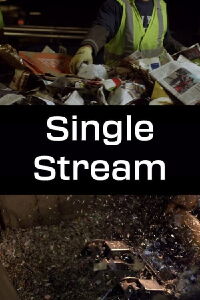 Single Stream (2014)