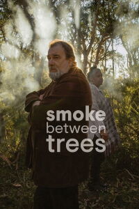 Smoke Between Trees (2019)