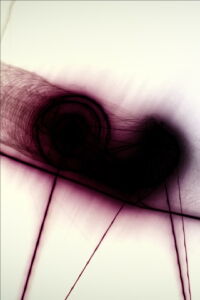 Snail Trail (2013)