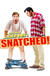Snatched (2011)
