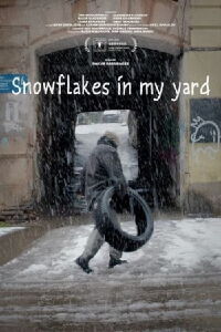 Snowflakes in my Yard (2025)