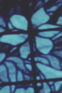Song 17 (1966)
