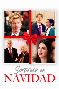 Sorpresa en Navidad (2020)