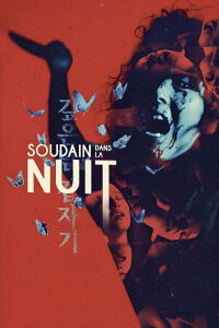 Soudain dans la nuit (1981)