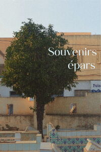 Souvenirs épars (2024)
