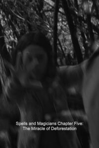 Spells and Magicians Chapter Five: The Miracle of Deforestation (2015)