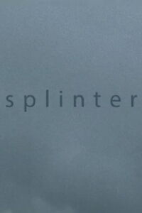 Splinter (2013)