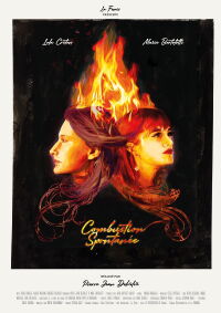 Spontaneous Combustion (2020)