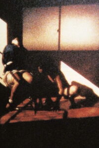 Squareworld (1995)