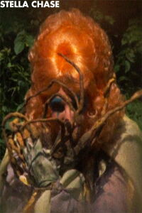 Stella Chase (1974)