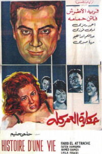 Story of a Lifetime (1965)