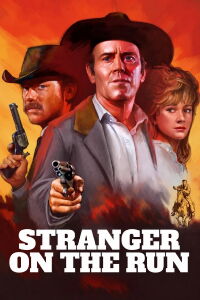 Stranger on the Run (1967)