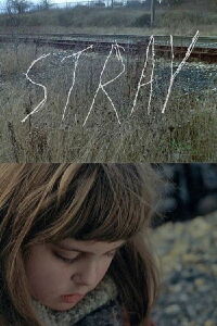 Stray (2013)