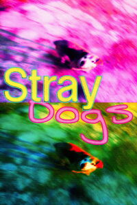 Stray Dogs (2014)