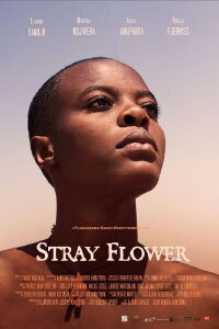 Stray Flower (2022)