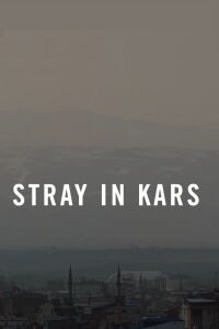 Stray in Kars (2022)