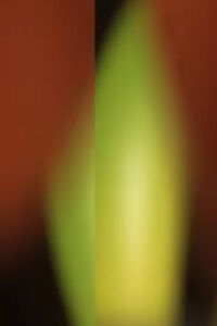 Stretch and Pull (2014)