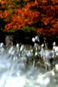 Such as It Is (2007)