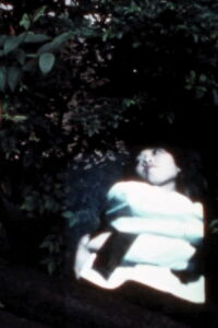 SUMMER IS GONE (1978)