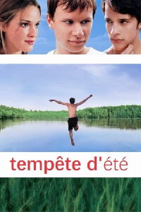 Summer storm (2004)