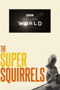 Super Ardillas (2018)