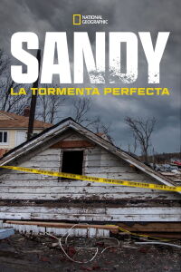 Superstorm New York: What Really Happened (2012)