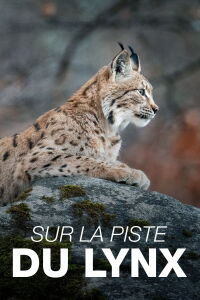 Sur la piste du lynx (2023)
