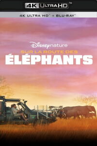 Sur la route des éléphants (2020)