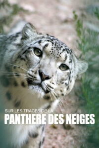 Sur les traces de la panthère des neiges (2018)