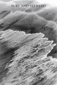 Surf and Seaweed (1931)