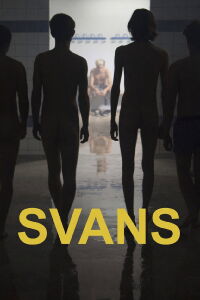 Swans (2016)