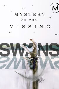Swans: Mystery of the Missing (2019)