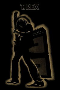 T-Rex: Electric Warrior (2012)