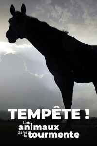 Tempête ! Les Animaux dans la tourmente (2023)