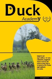 Thaïlande, à l'école des canards (2019)